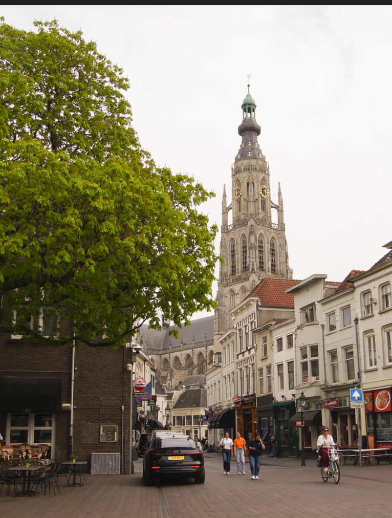 Transport & Logistiek